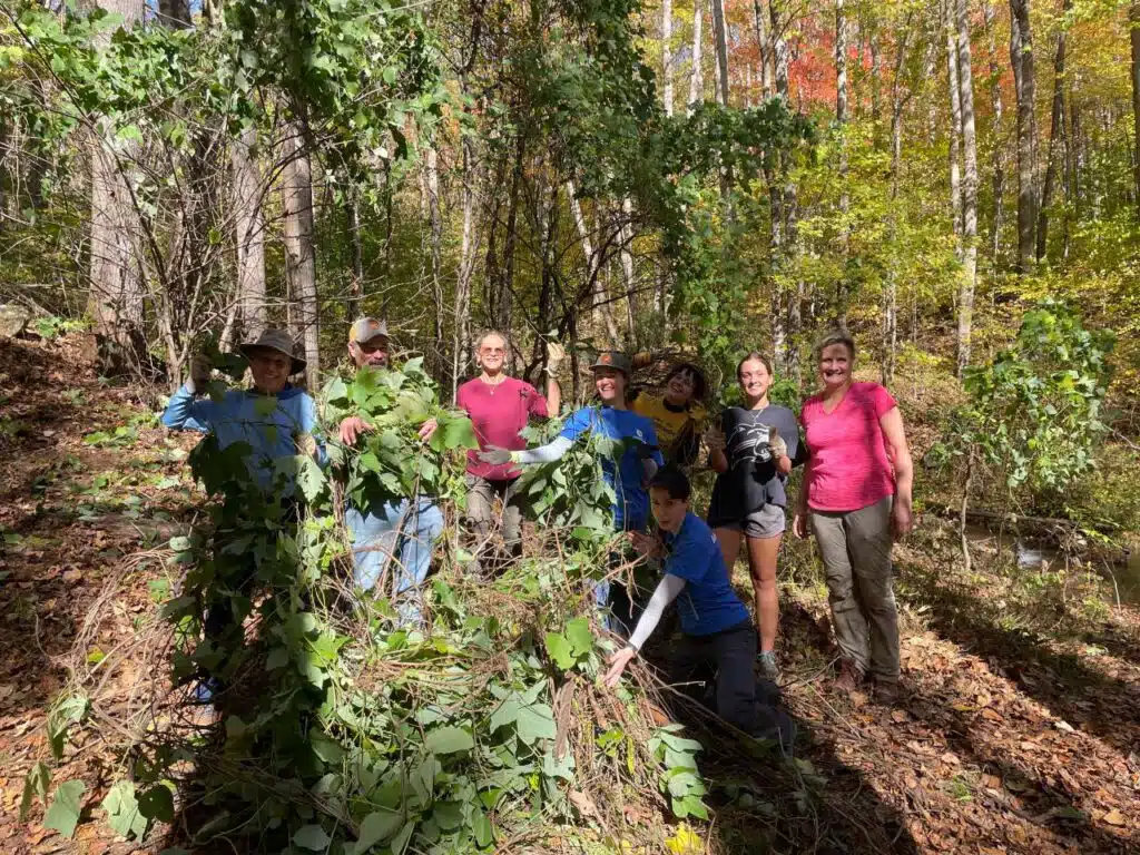 WRO Jackson Co NNIP workdays