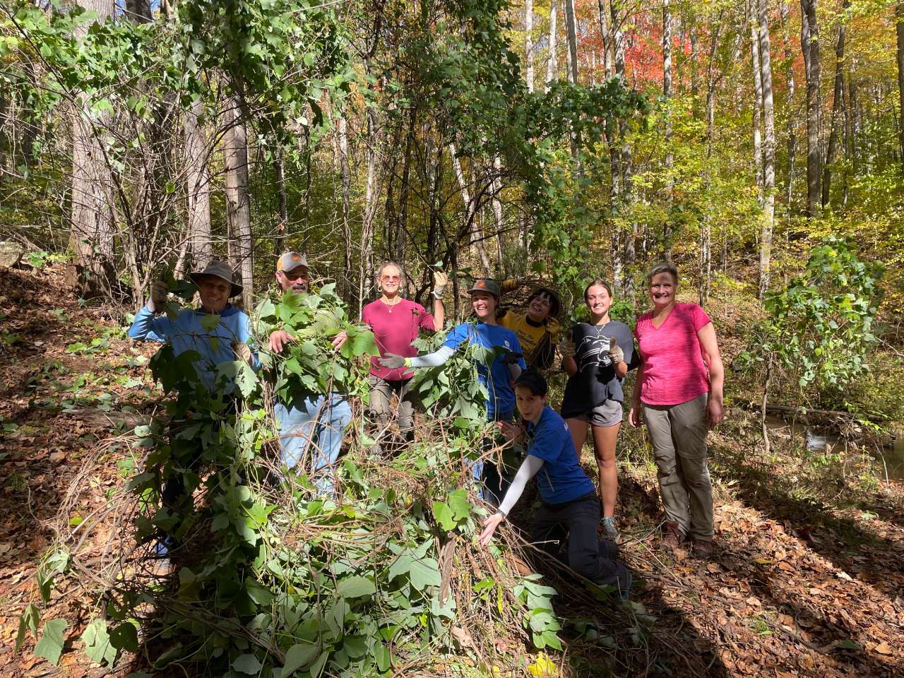 WRO Jackson Co NNIP workdays