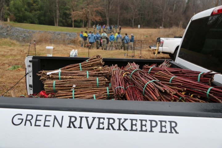 GreenRiverkeeperLiveStakes