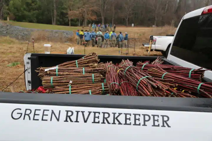 GreenRiverkeeperLiveStakes