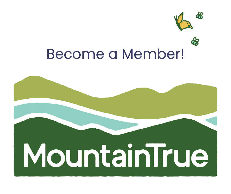 MT Shop Membership Revised