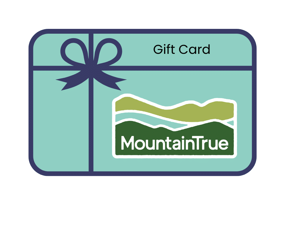 MT gift card image
