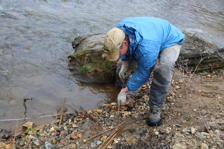 MatthewPlantingLiveStakes