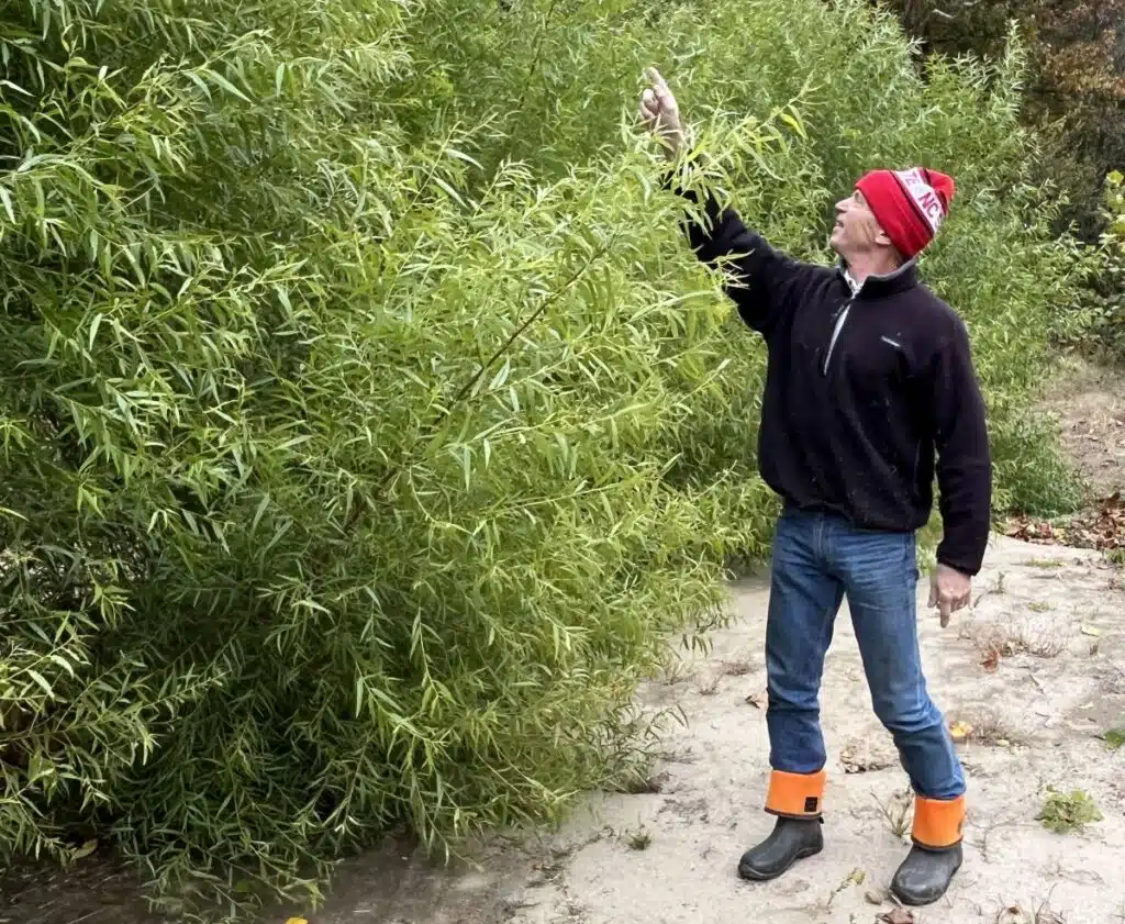 Streambank Restoration photo
