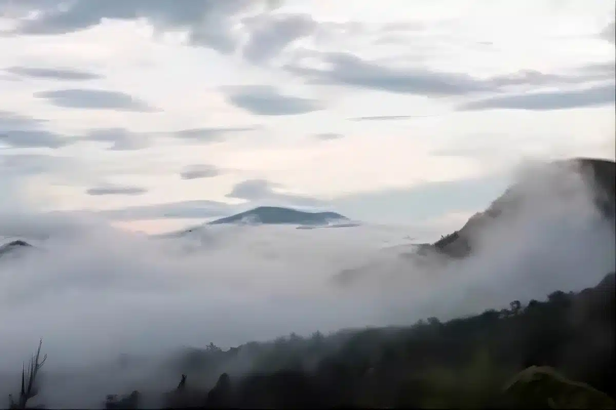 upscalemedia-transformed (1)