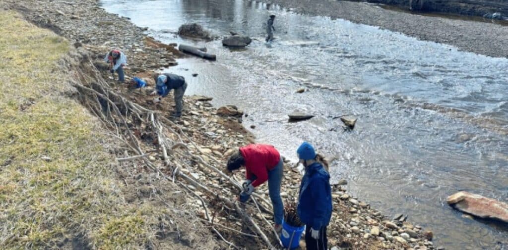 live staking promo photo