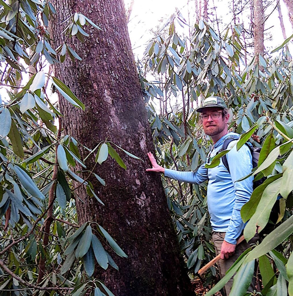 Josh Kelly w 400 yr old white oak