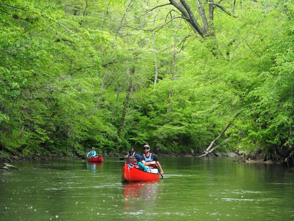 LoS_Last year’s French Broad River Paddle Trip near Brevard, NC._