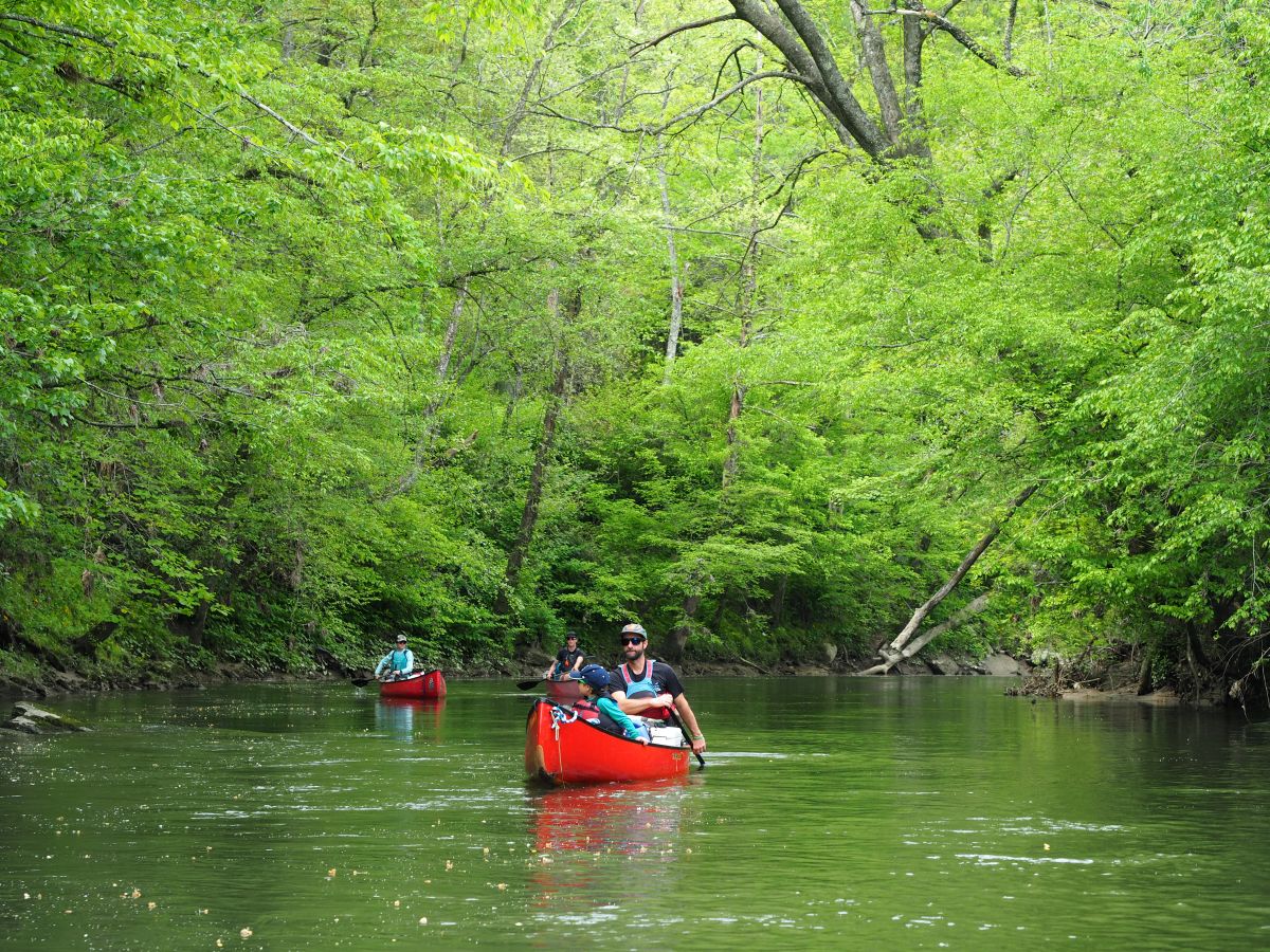 LoS_Last year’s French Broad River Paddle Trip near Brevard, NC._