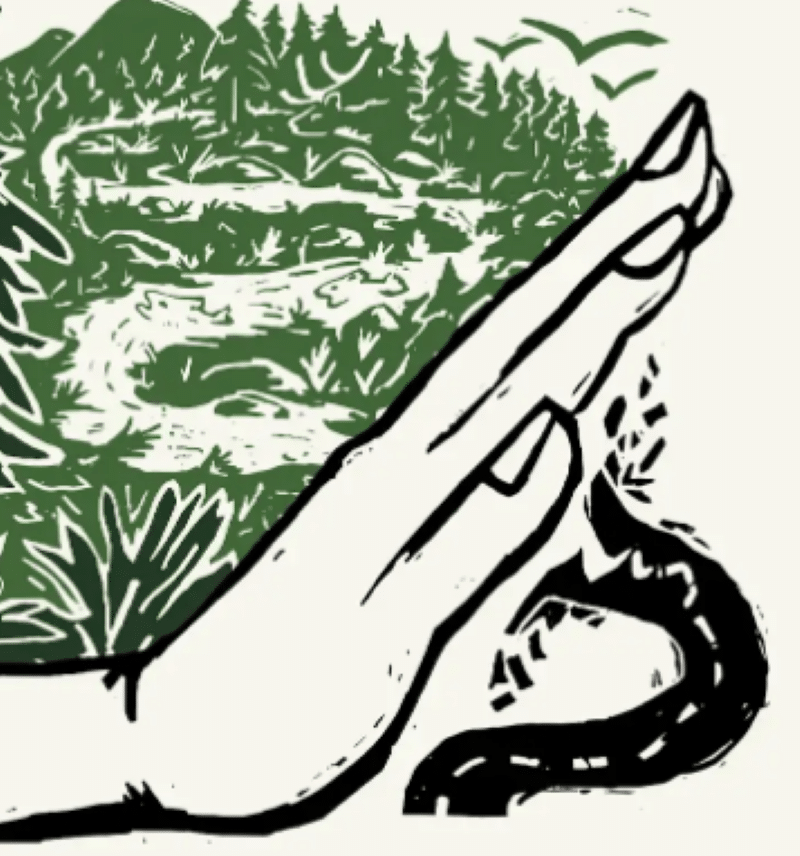 Roadless Rules Roundtable image