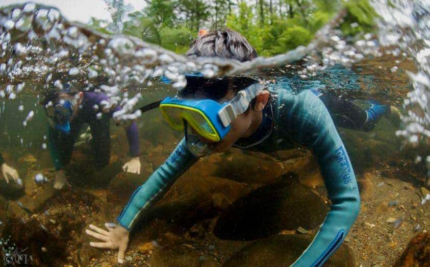 Snorkel photo