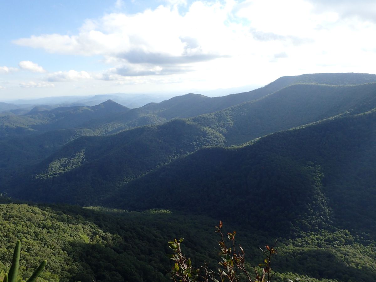 View from Pickens Nose_Callie Moore