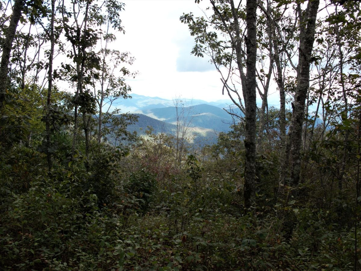 6 Tusquitee Bald RimTrl S toS OV