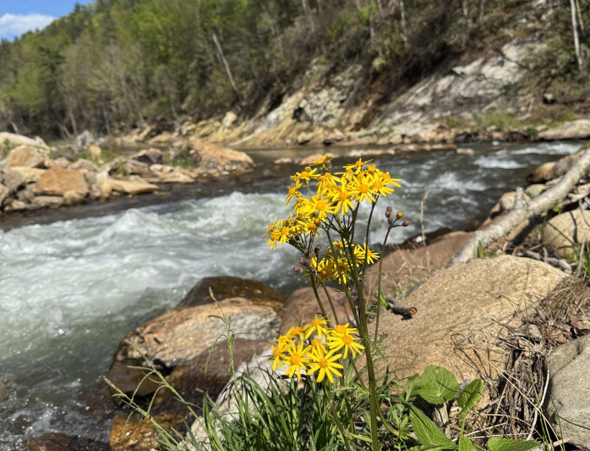 Green River Bash Photo