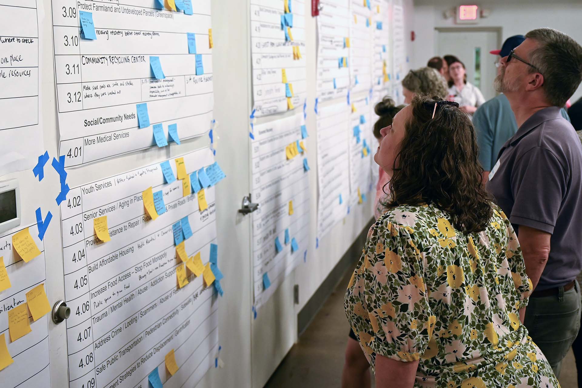 Swannanoa Planning