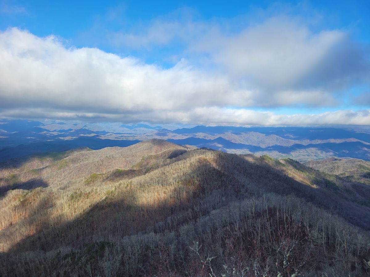 View from Wesser Bald fire tower_Callie Moore (1)