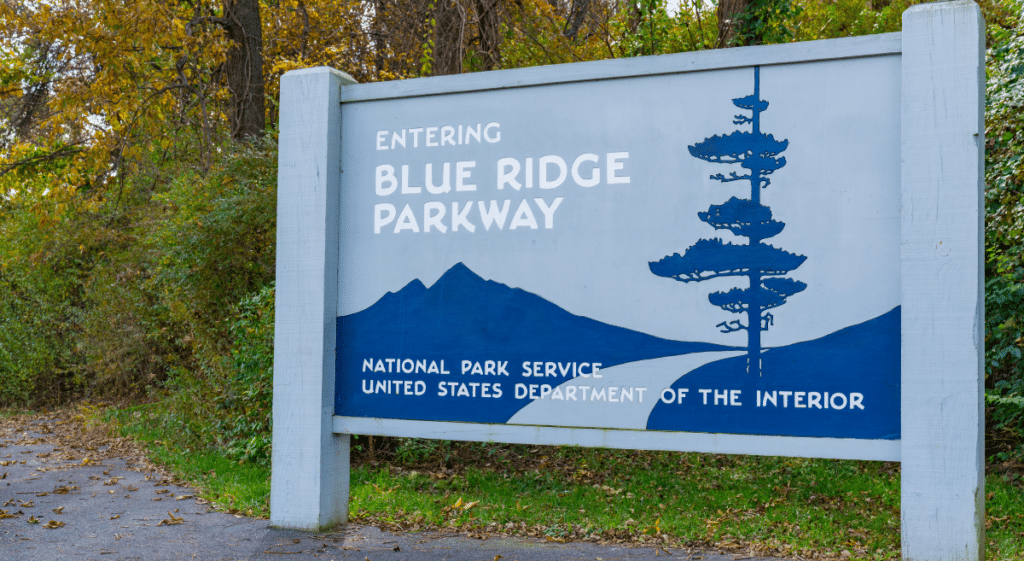 Blue Ridge Parkway logging petition blog featured image