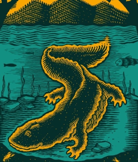 hellbender festival photo