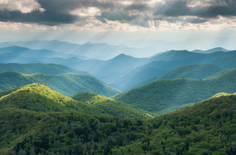 Western_North_Carolina_forest